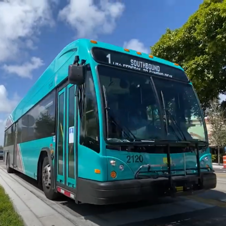 Palm Tran Bus